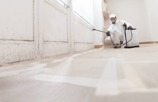 24/7 Emergency Black Mold Remediation experts in Hermitage, TN