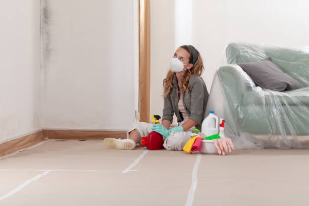 Reliable Black Mold Remediation contractor in Hermitage, TN by 24 Hour Mold Removal